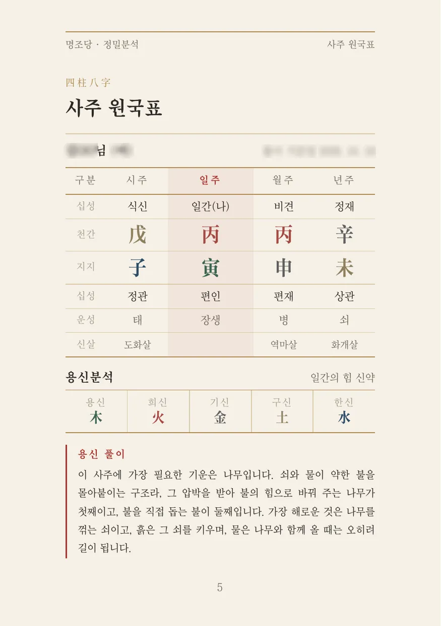 정밀분석 견본 사주 원국표